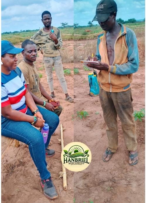 Farming Together: The Power of Social Farming and Community Empowerment